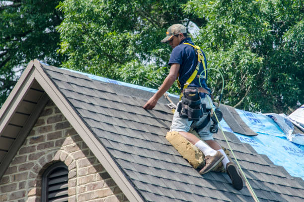 Best Metal Roofing Contractor  in Baxley, GA